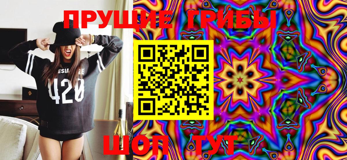 Химки  Псилоцибиновые грибы GOLDEN TEACHER  Псилоцибиновые грибы Cubensis  Вход с VPN 